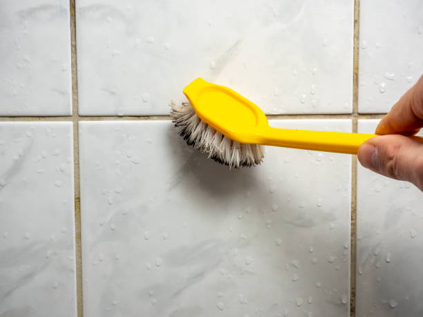 Reliable Kamas, UT Mold Removal Solutions