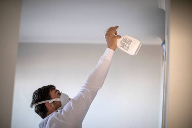 Best Mold Removal Company Near Me  in Kamas, UT