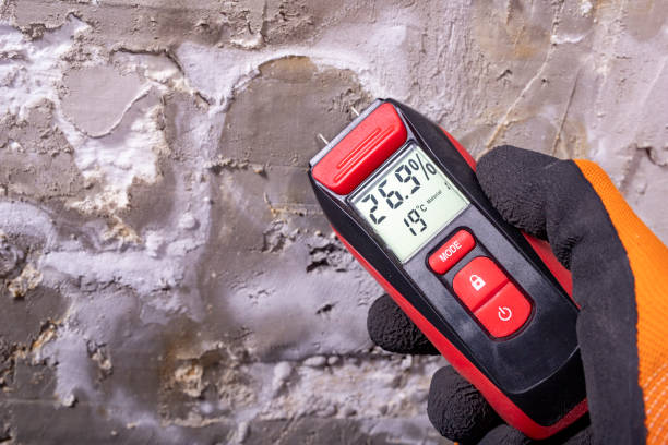 Best Mold Removal Near Me  in Kamas, UT