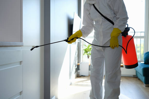 Best Professional Mold Removal  in Kamas, UT
