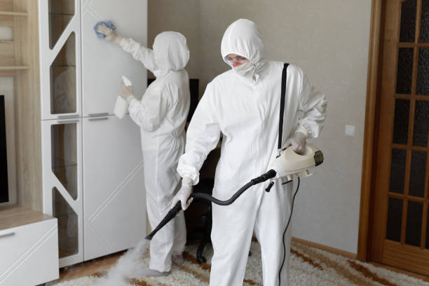 Mold Testing and Removal in Kamas, UT