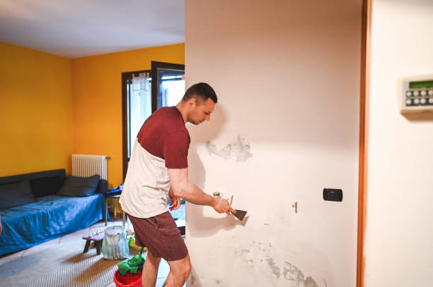 Best Certified Mold Removal  in Kamas, UT