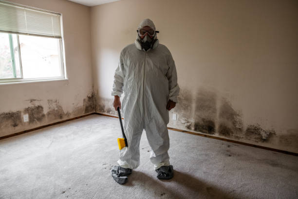 Best Fast Mold Removal  in Kamas, UT