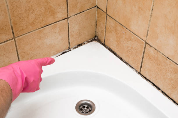 Best Office Mold Removal Services  in Kamas, UT